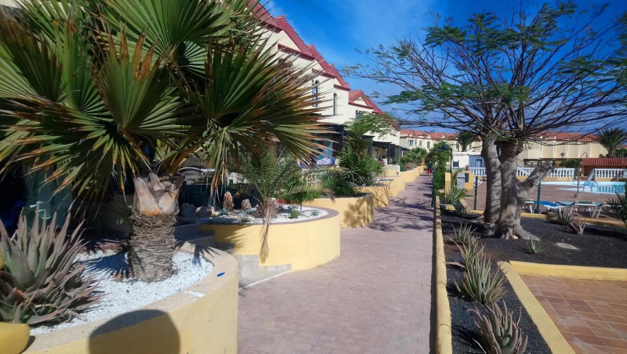 Green Oasis By The Pool Costa Calma Extérieur photo
